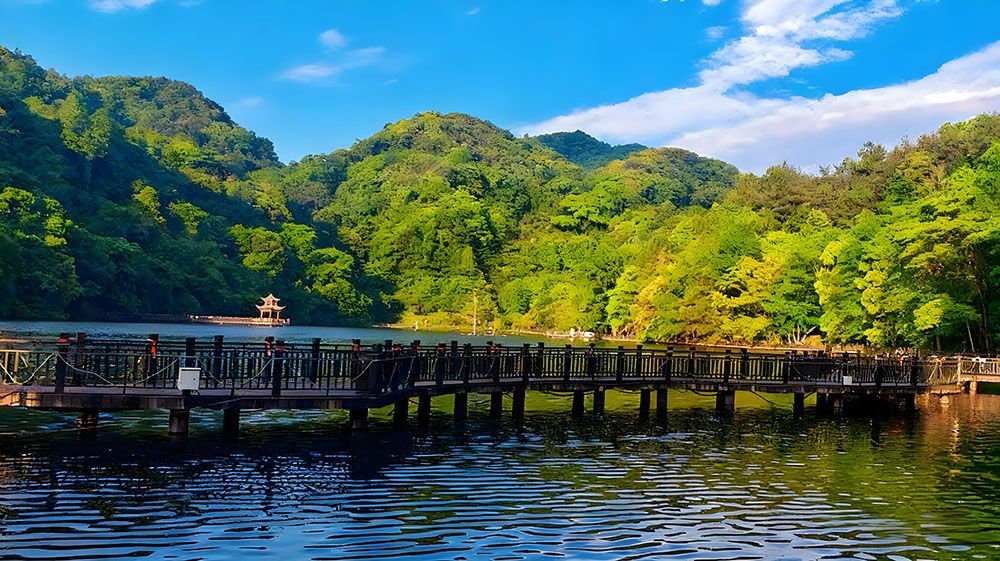 易景通為陽明山國家森林公園打造線上線下結合的景區(qū)售票系統(tǒng)