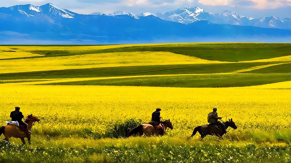 昭蘇天馬文化園和易景通景區(qū)票務(wù)系統(tǒng)達(dá)成合作協(xié)議 